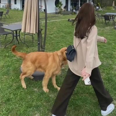 给你我的独家宠爱